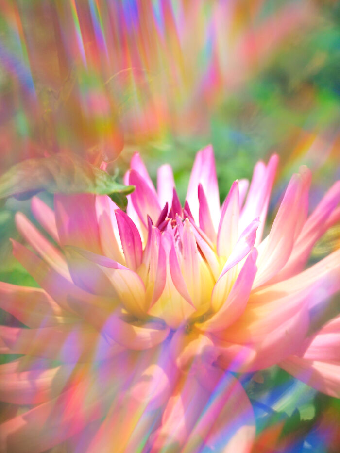 I Create Rainbow-Infused Photography Without The Use Of Photoshop (15 Pics)