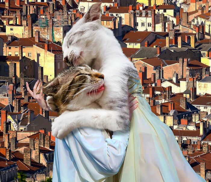 An Artist Creates Photo Collages With Cats And They're Weirdly Purrrfect (29 Pics)