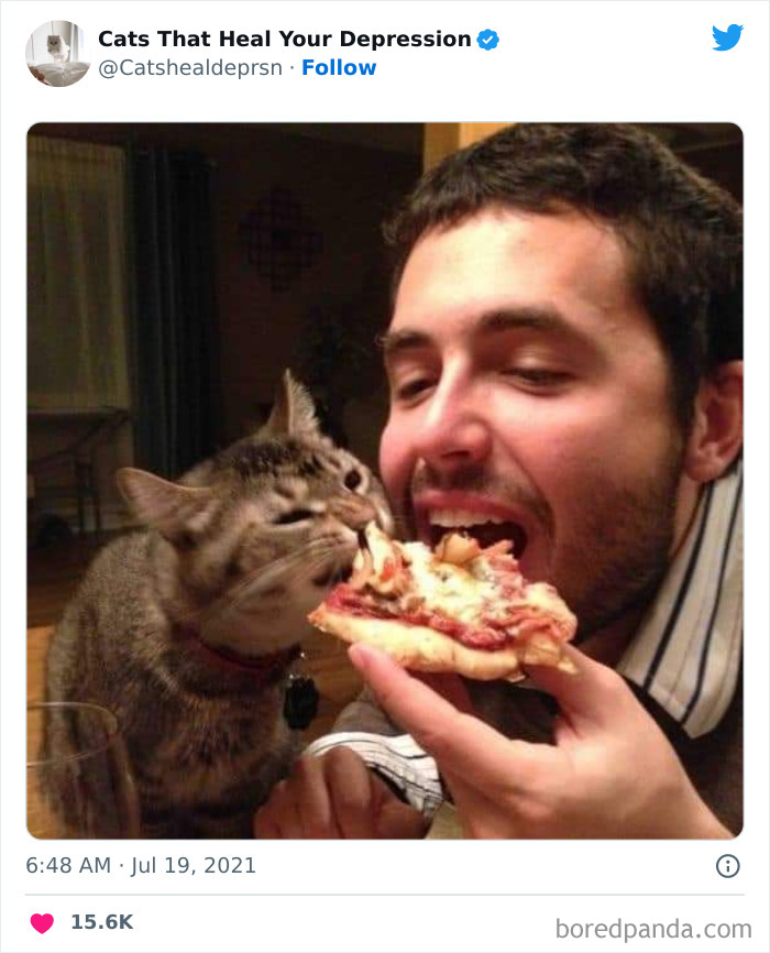 Heart-Warming-Cat-Pics