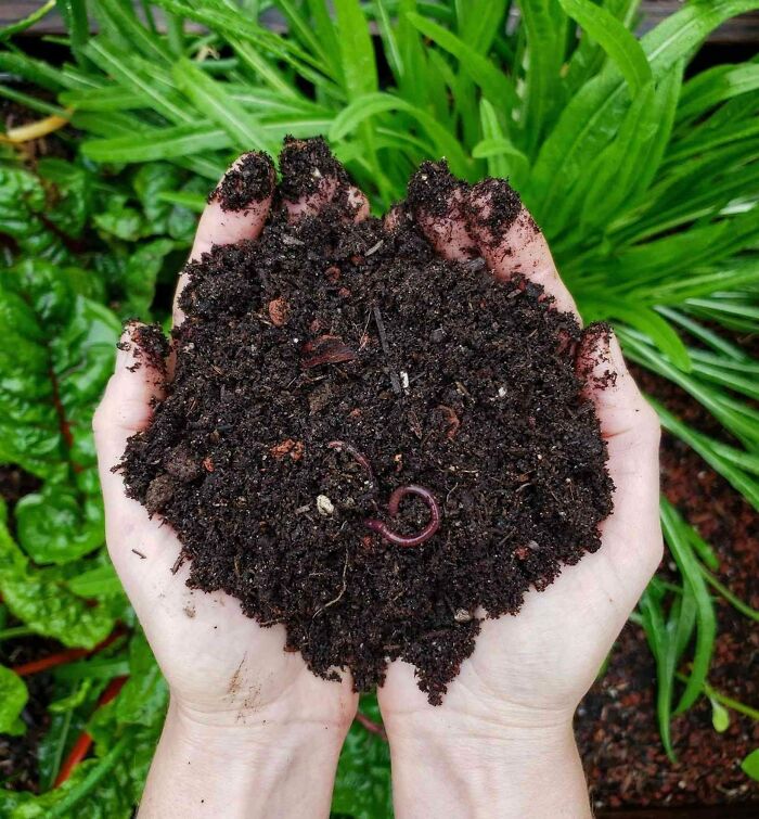 When You Have Food Waste, Try To Compost It. This Will Turn It Into Soil For Future Gardens And Reduce The Emission Of Methane