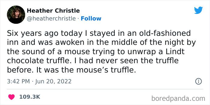 It Was The Mouse’s Truffle
