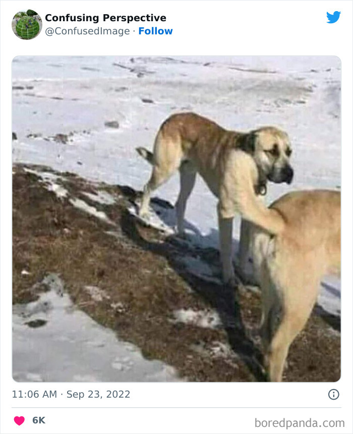 Optical-Illusion-Pics-Confusing-Perspective Optical-Illusion-Pics-Confusing-Perspective