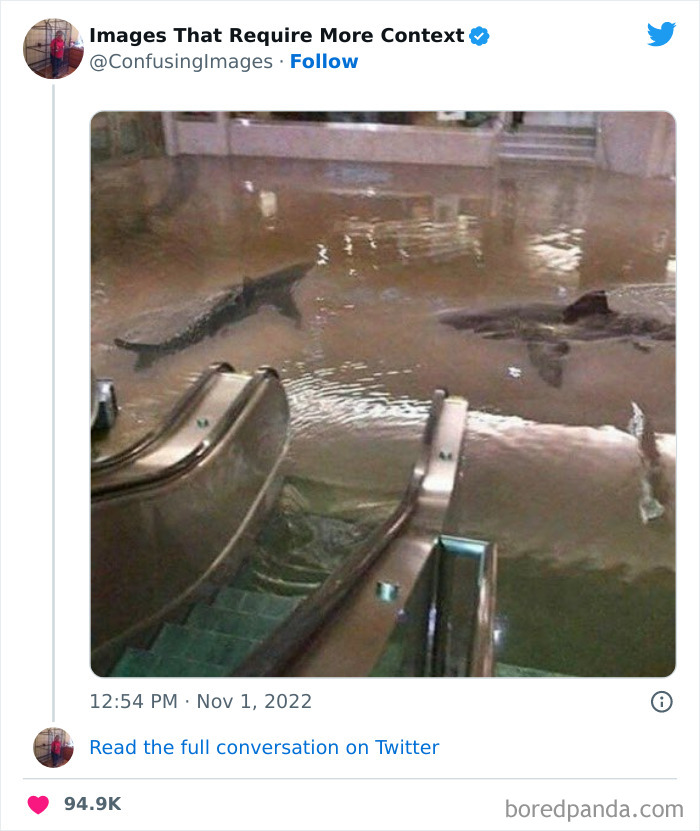 Funny-Confusing-Images-Need-More-Context