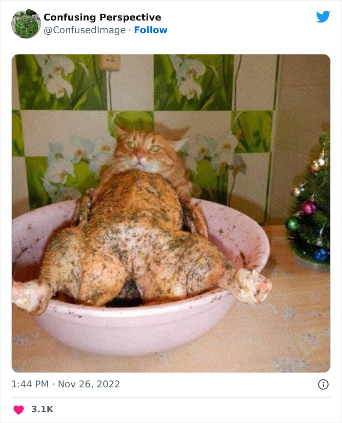 Optical-Illusion-Pics-Confusing-Perspective Optical-Illusion-Pics-Confusing-Perspective