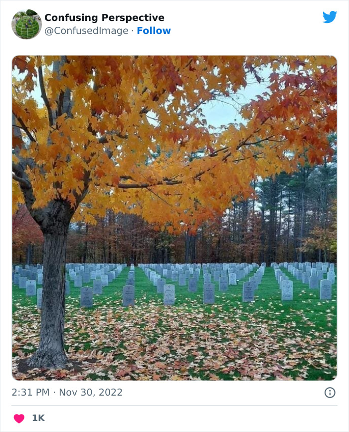 Optical-Illusion-Pics-Confusing-Perspective Optical-Illusion-Pics-Confusing-Perspective