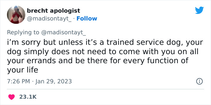 “I’m Sorry, But Unless It’s A Trained Service Dog, Your Dog Simply Does Not Need To Come With You On All Your Errands”: Woman’s Thread About Dogs Goes Viral On Twitter “I’m Sorry, But Unless It’s A Trained Service Dog, Your Dog Simply Does Not Need To Come With You On All Your Errands”: Woman’s Thread About Dogs Goes Viral On Twitter