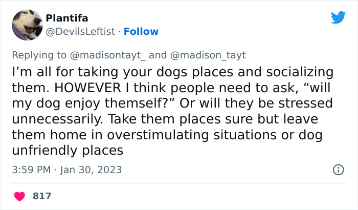 “I’m Sorry, But Unless It’s A Trained Service Dog, Your Dog Simply Does Not Need To Come With You On All Your Errands”: Woman’s Thread About Dogs Goes Viral On Twitter “I’m Sorry, But Unless It’s A Trained Service Dog, Your Dog Simply Does Not Need To Come With You On All Your Errands”: Woman’s Thread About Dogs Goes Viral On Twitter