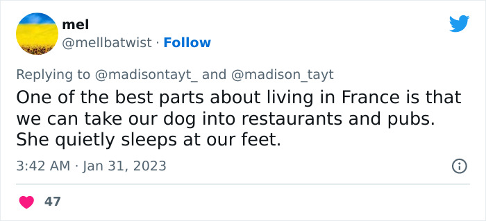“I’m Sorry, But Unless It’s A Trained Service Dog, Your Dog Simply Does Not Need To Come With You On All Your Errands”: Woman’s Thread About Dogs Goes Viral On Twitter