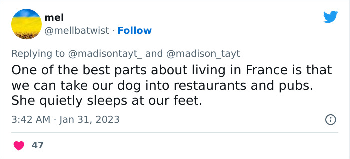 “I’m Sorry, But Unless It’s A Trained Service Dog, Your Dog Simply Does Not Need To Come With You On All Your Errands”: Woman’s Thread About Dogs Goes Viral On Twitter “I’m Sorry, But Unless It’s A Trained Service Dog, Your Dog Simply Does Not Need To Come With You On All Your Errands”: Woman’s Thread About Dogs Goes Viral On Twitter