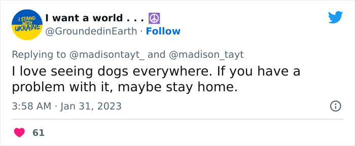 “I’m Sorry, But Unless It’s A Trained Service Dog, Your Dog Simply Does Not Need To Come With You On All Your Errands”: Woman’s Thread About Dogs Goes Viral On Twitter “I’m Sorry, But Unless It’s A Trained Service Dog, Your Dog Simply Does Not Need To Come With You On All Your Errands”: Woman’s Thread About Dogs Goes Viral On Twitter