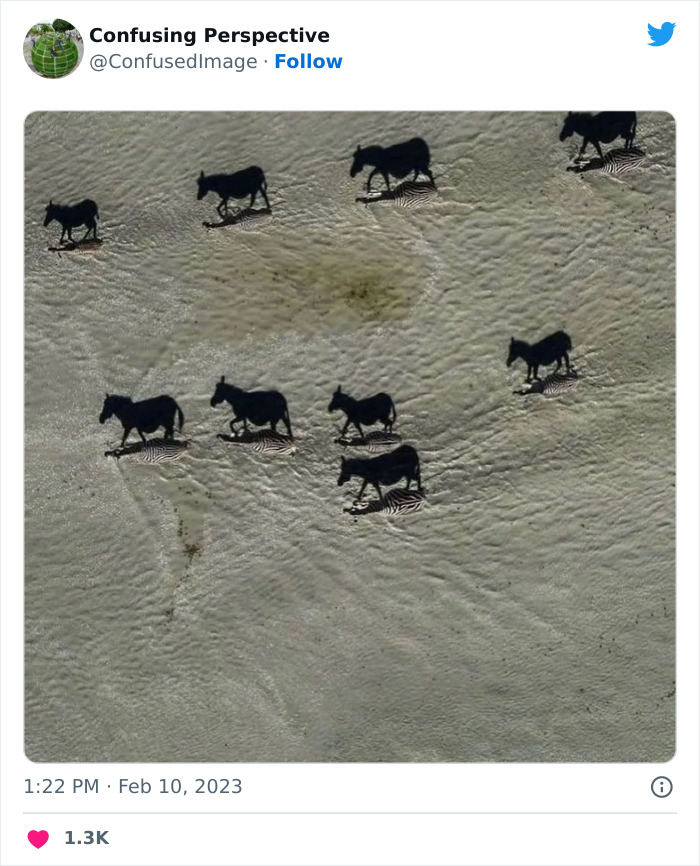 Optical-Illusion-Pics-Confusing-Perspective Optical-Illusion-Pics-Confusing-Perspective