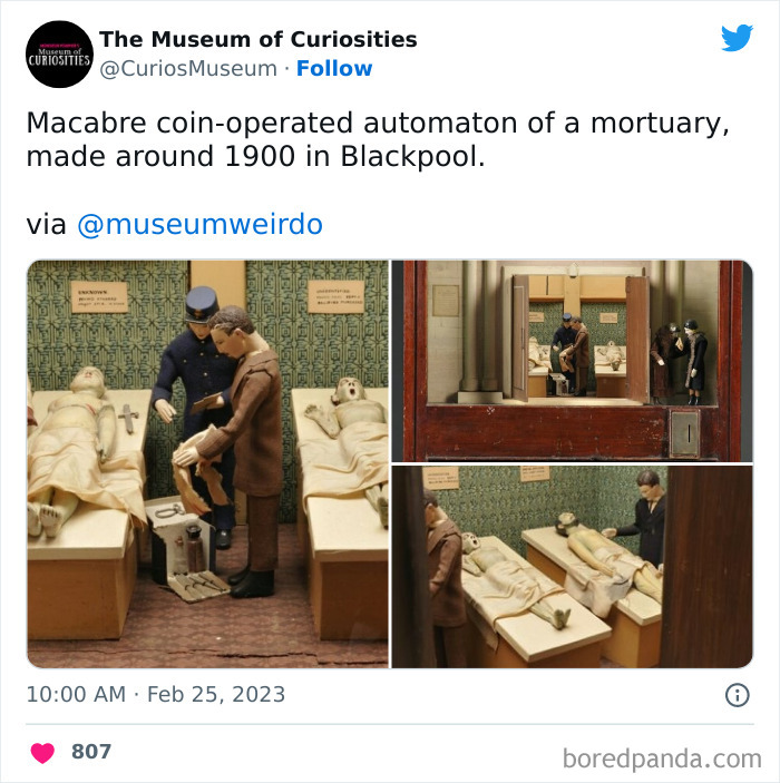 Interesting-Pics-The-Museum-Of-Curiosities