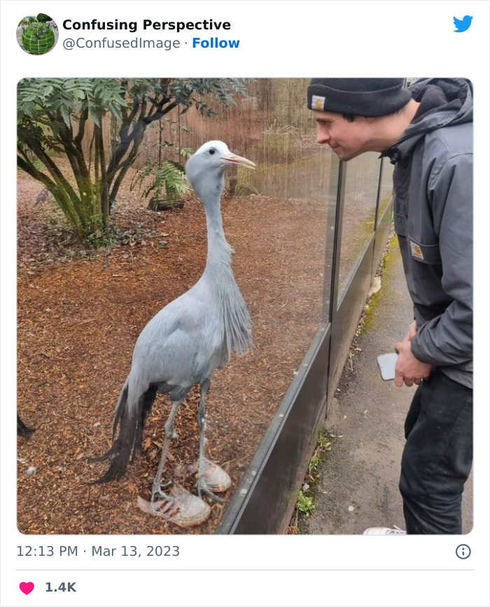 Optical-Illusion-Pics-Confusing-Perspective Optical-Illusion-Pics-Confusing-Perspective