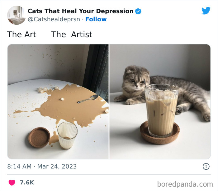 Heart-Warming-Cat-Pics