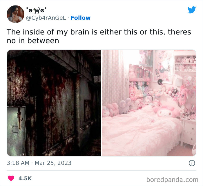 inside my brains there are two different girls meme