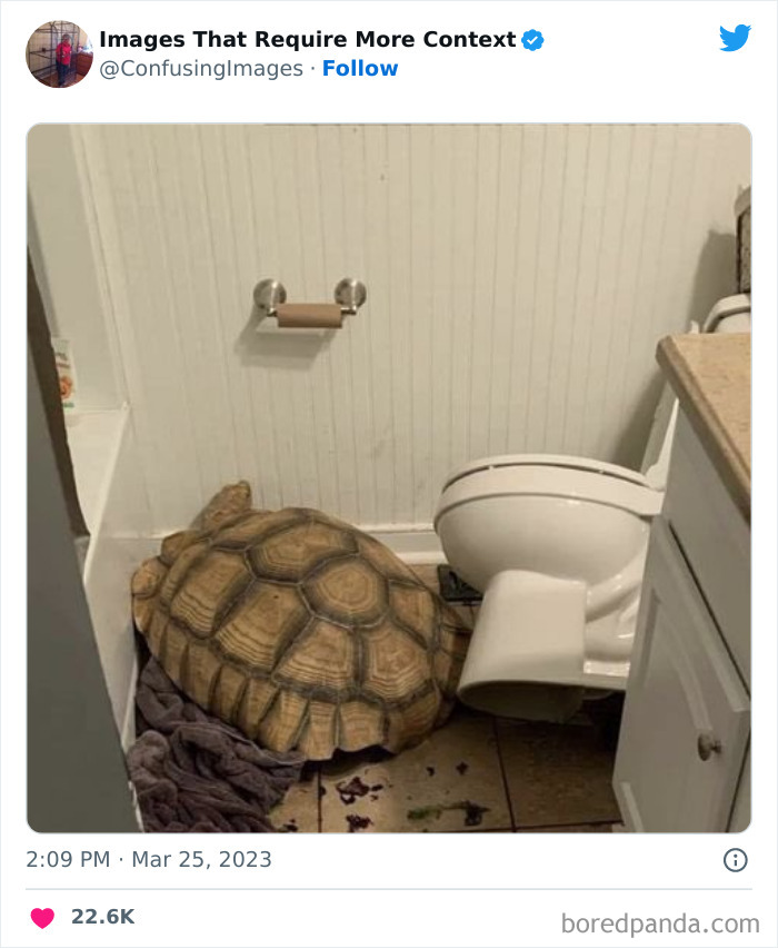 Funny-Confusing-Images-Need-More-Context