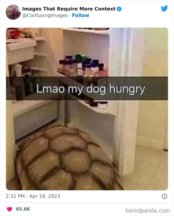 Funny-Confusing-Images-Need-More-Context