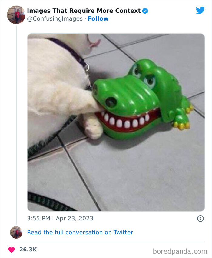 Funny-Confusing-Images-Need-More-Context