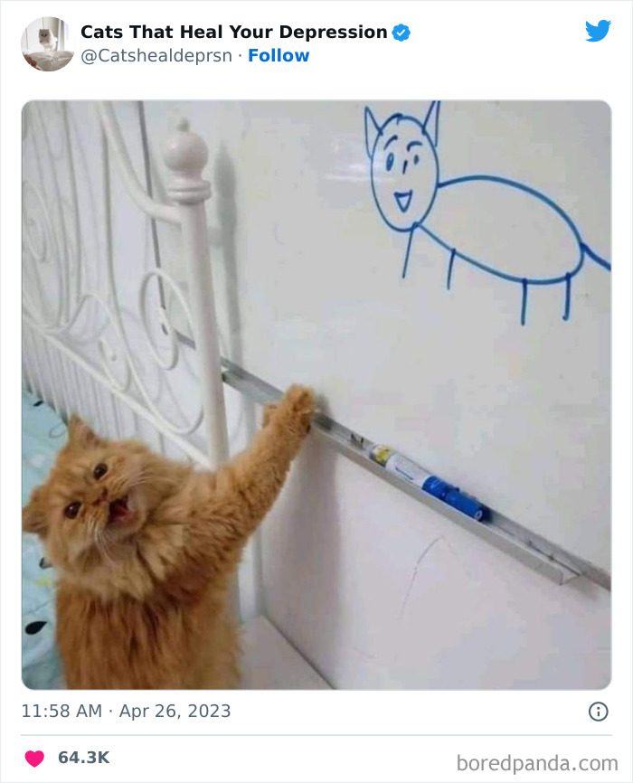 Heart-Warming-Cat-Pics