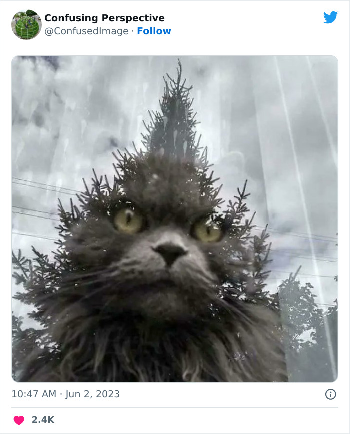 Optical-Illusion-Pics-Confusing-Perspective Optical-Illusion-Pics-Confusing-Perspective