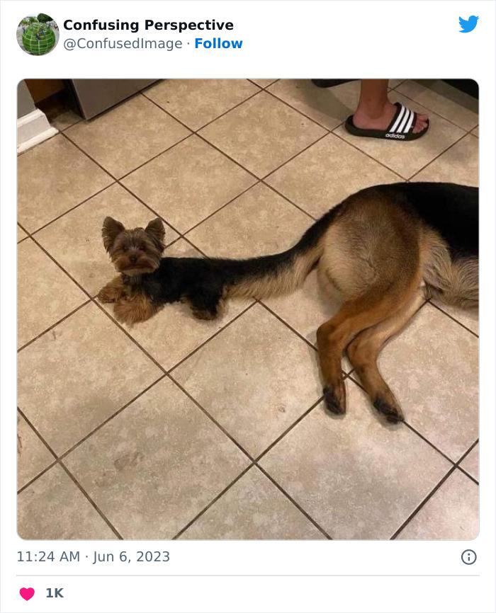 Optical-Illusion-Pics-Confusing-Perspective Optical-Illusion-Pics-Confusing-Perspective