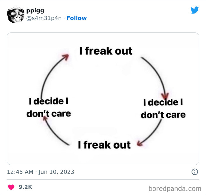 i freak out and decide i don't really care cycle twitter meme
