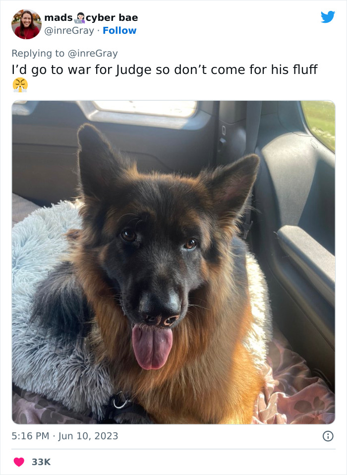 Airbnb Host Tries Gaslighting Guest About Their Pet Policy To Extract More Money, Blames It On A 'Glitch' After Being Proven Wrong Airbnb Host Tries Gaslighting Guest About Their Pet Policy To Extract More Money, Blames It On A 'Glitch' After Being Proven Wrong