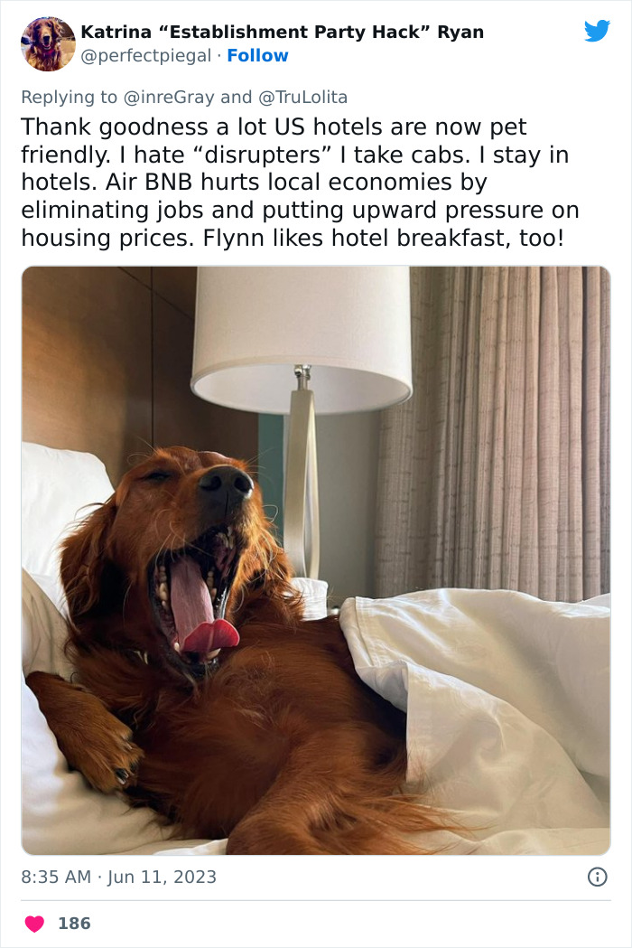 Airbnb Host Tries Gaslighting Guest About Their Pet Policy To Extract More Money, Blames It On A 'Glitch' After Being Proven Wrong Airbnb Host Tries Gaslighting Guest About Their Pet Policy To Extract More Money, Blames It On A 'Glitch' After Being Proven Wrong