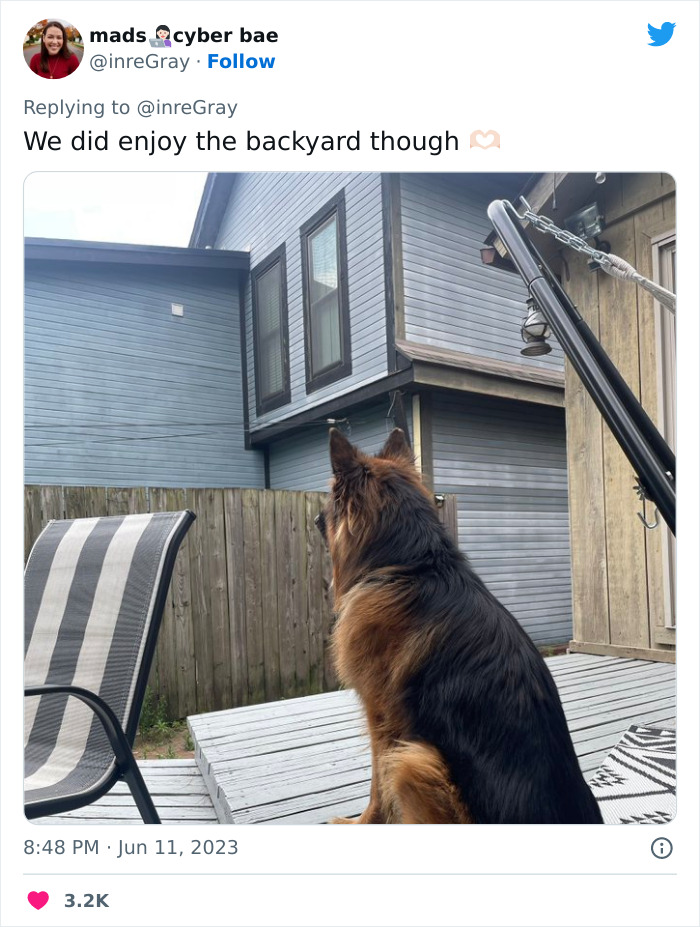 Airbnb Host Tries Gaslighting Guest About Their Pet Policy To Extract More Money, Blames It On A 'Glitch' After Being Proven Wrong Airbnb Host Tries Gaslighting Guest About Their Pet Policy To Extract More Money, Blames It On A 'Glitch' After Being Proven Wrong