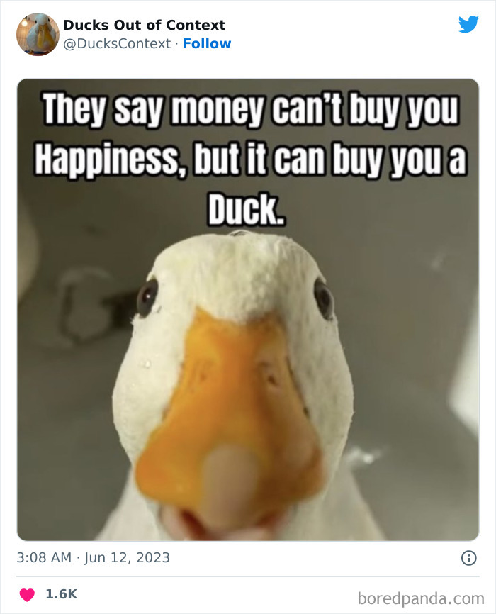 Weird-Images-Require-More-Context