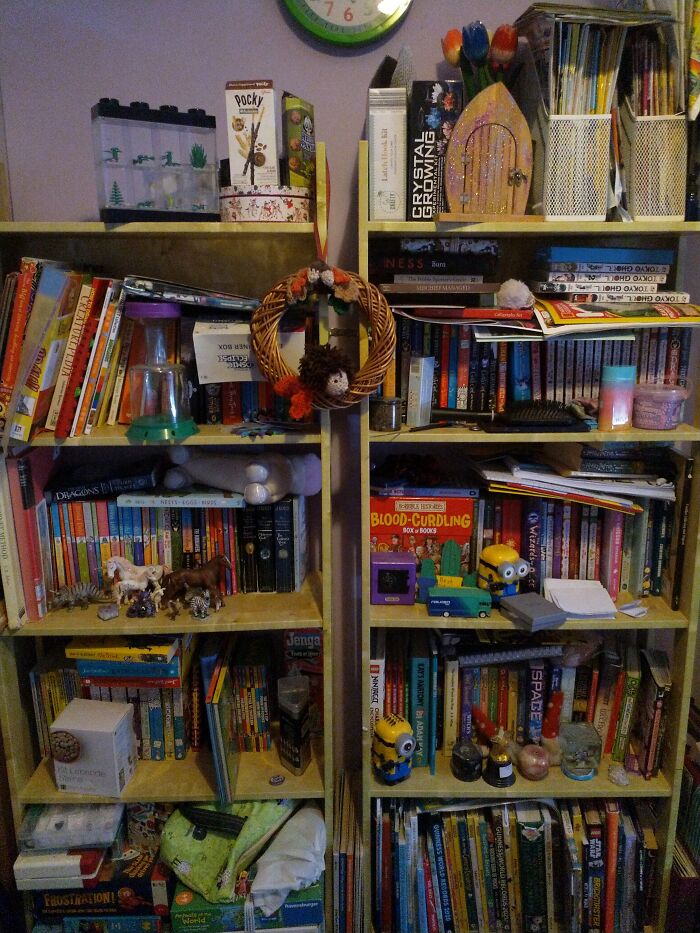 These Bookshelves In My Room (Yes I Have A Collection Of Model Animals)