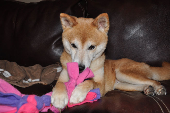 Woman Gets Not-So-Petty Revenge On Horrible Ex-Roommate, Leaving Her 28 Grand In Debt