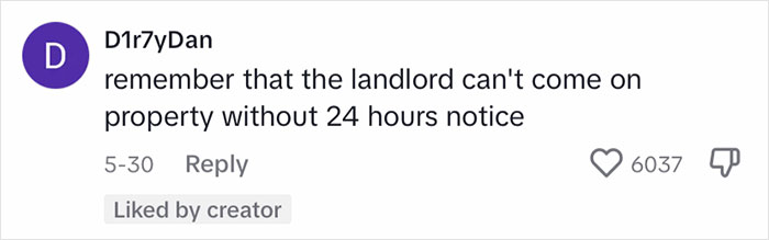 Landlord's Wife Enraged By Tenant's Chalk Artistry Asks Her To Wash It Off, Tenant Stands Her Ground