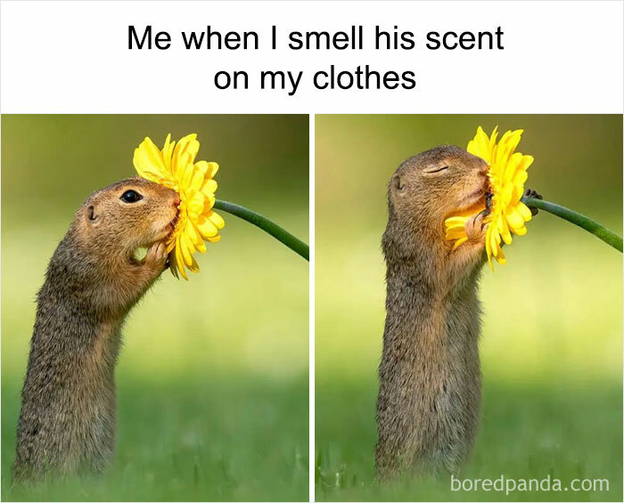 Wholesome-Romantic-Relationship-Memes