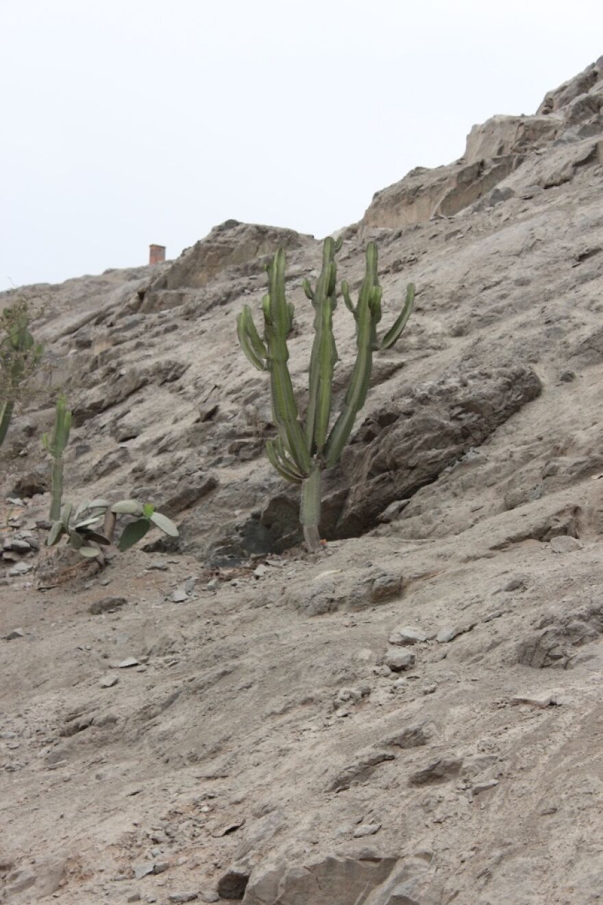 I Visited Puruchuco And Here Are The Highlight From My Trip I Visited Puruchuco And Here Are The Highlight From My Trip