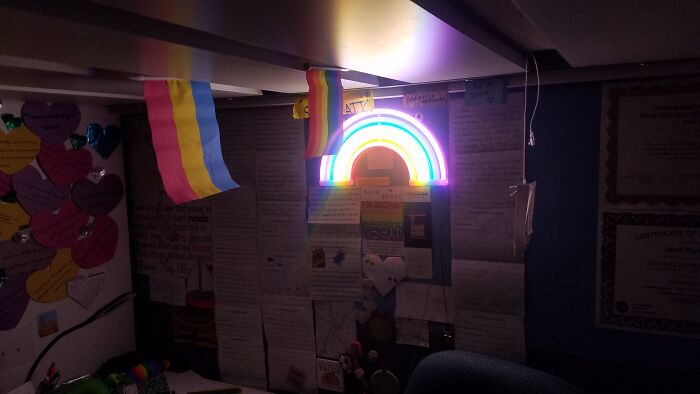 My Best Friend Gave Me The Rainbow Light, And I Got The Pan And Rainbow Flags At My School's Lgbtq+ Club During Pride Month Last Year