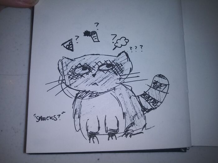 Raccoon I Drew During A Lecture :)