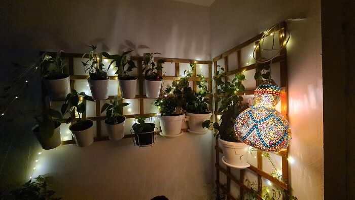 "Inka V Gradinka": My Balcony Garden That Might Inspire You To Make Your Own (14 Pics) "Inka V Gradinka": My Balcony Garden That Might Inspire You To Make Your Own (14 Pics)