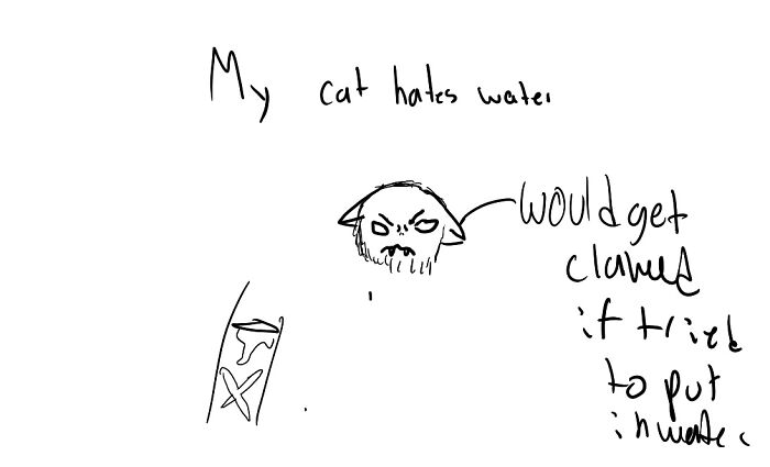 My Cat Hates Water. Thats All You Need To Know