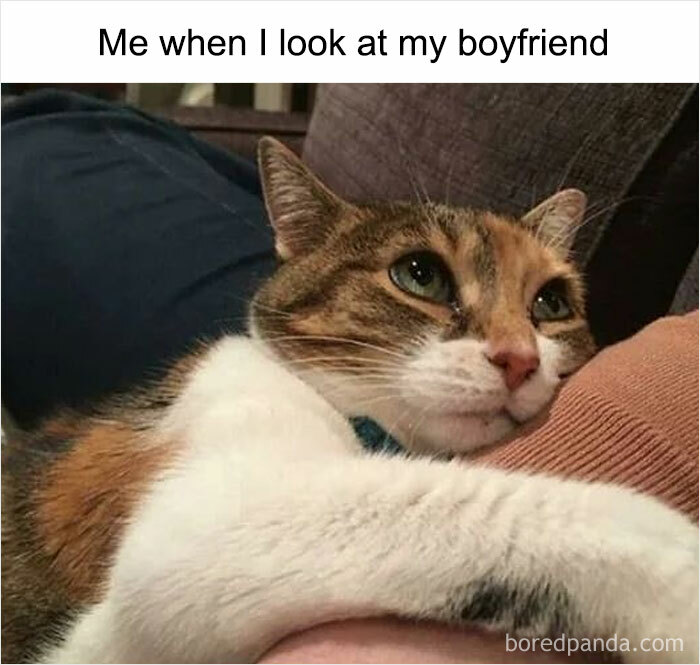 Wholesome-Romantic-Relationship-Memes