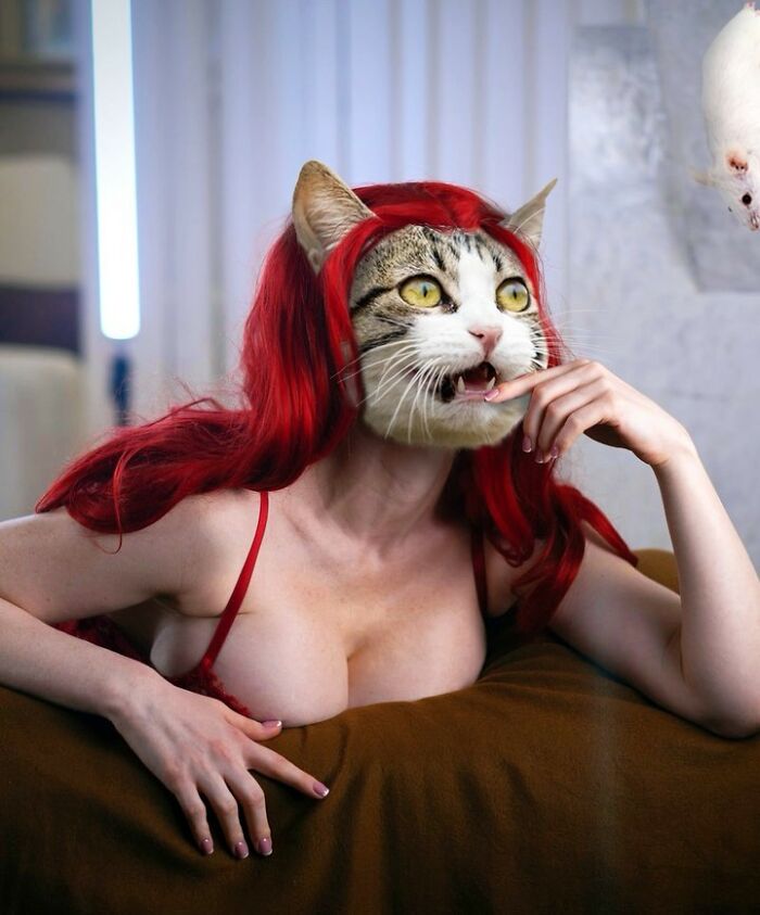 An Artist Creates Photo Collages With Cats And They're Weirdly Purrrfect (29 Pics)