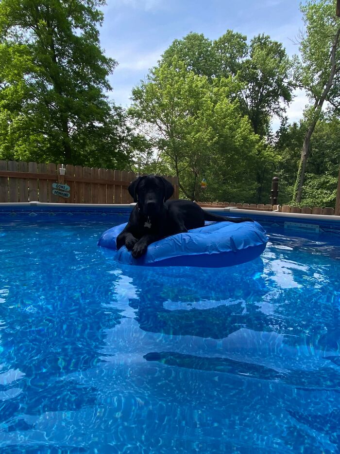 Finny Has His Own Floatie
