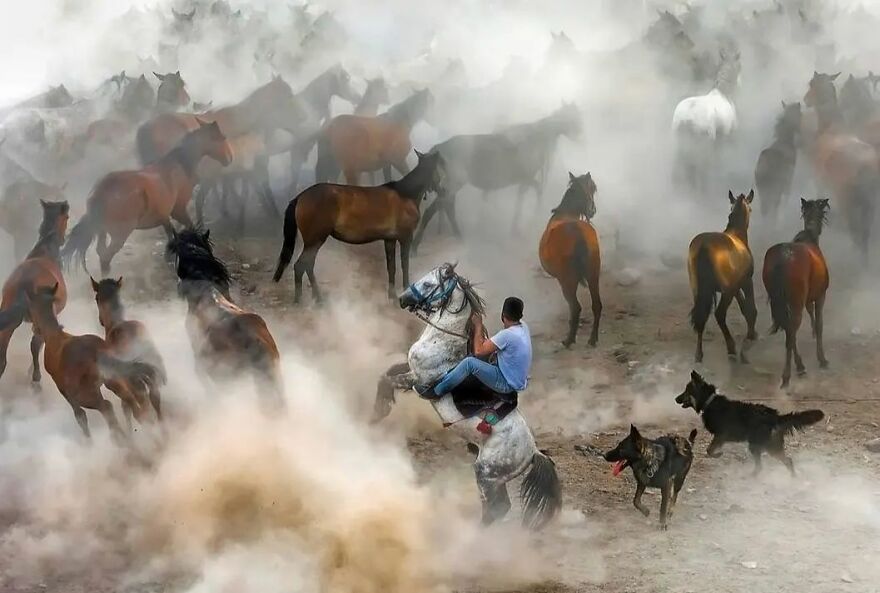 57 Stunning New Pics Of Animals Shared By Decisive Moments Magazine