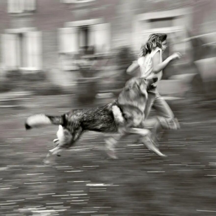 57 Stunning New Pics Of Animals Shared By Decisive Moments Magazine