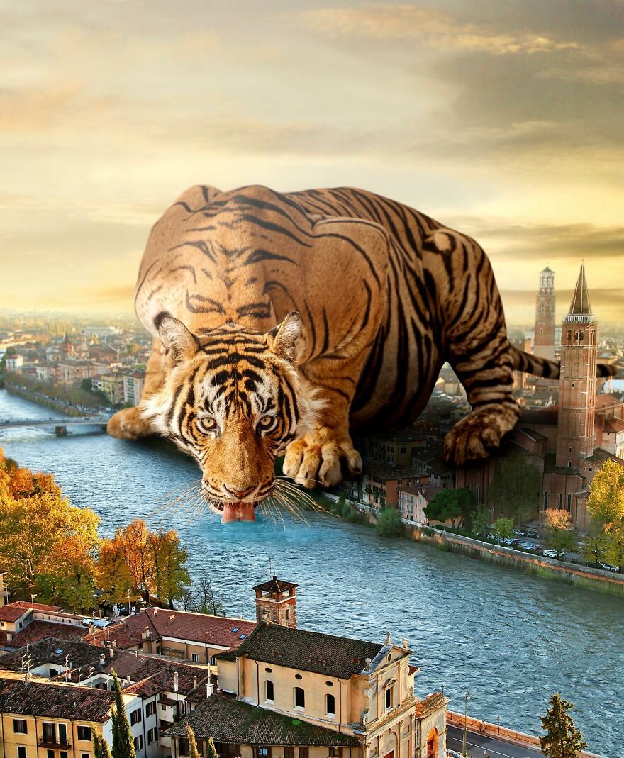 Giant Animals Invade Cities Through Two Digital Artists (16 Pics)