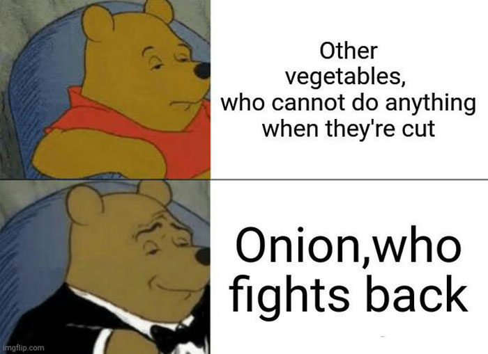 Onion Fights Back