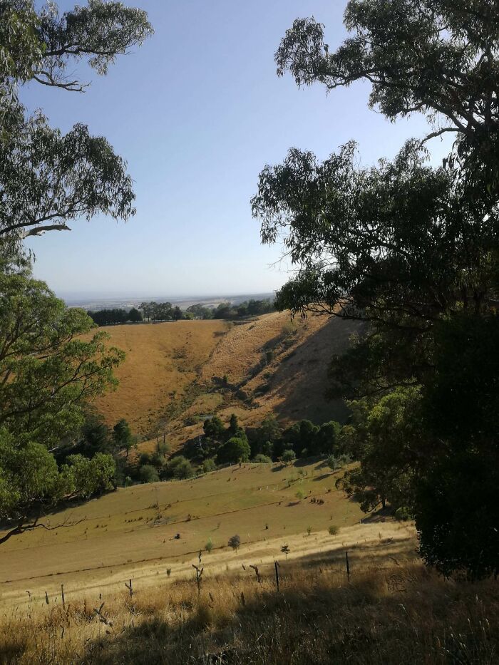 Looking Out From My Mum's Place