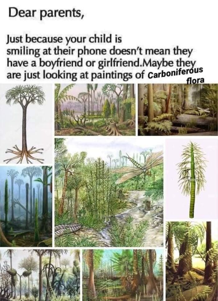 Carboniferous Flora