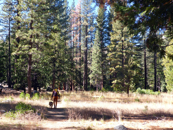 “My 'Weird' Radar Was Going Off”: Hiker Refuses To Drive An Older Woman Home Before A Storm And Feels Bad, Gets Backed Up By Folks Online “My 'Weird' Radar Was Going Off”: Hiker Refuses To Drive An Older Woman Home Before A Storm And Feels Bad, Gets Backed Up By Folks Online