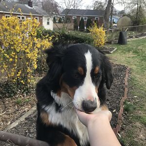 cassidyvalencia avatar